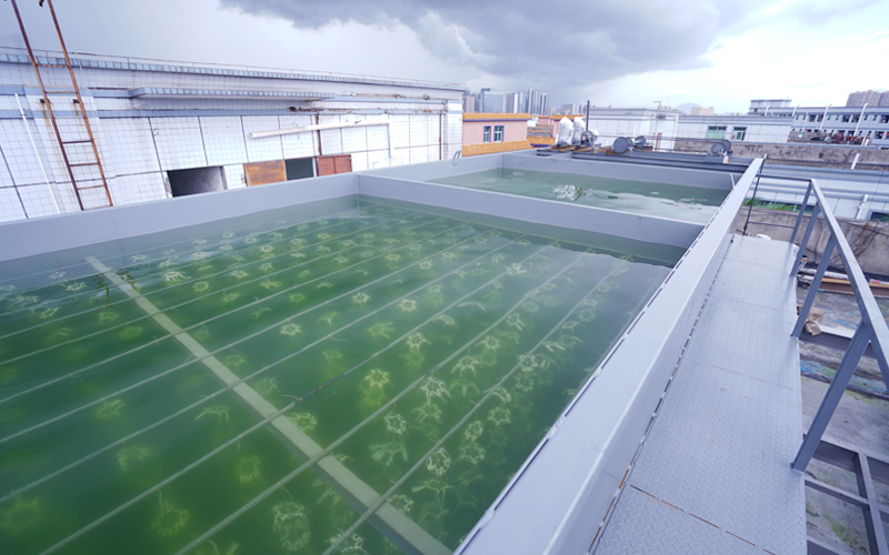 食品廢水處理成套設(shè)備