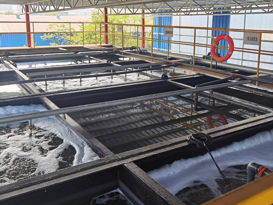 線(xiàn)路板污水處理項(xiàng)目