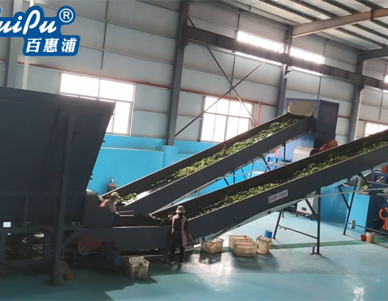 菜葉子廢水處理項目案例