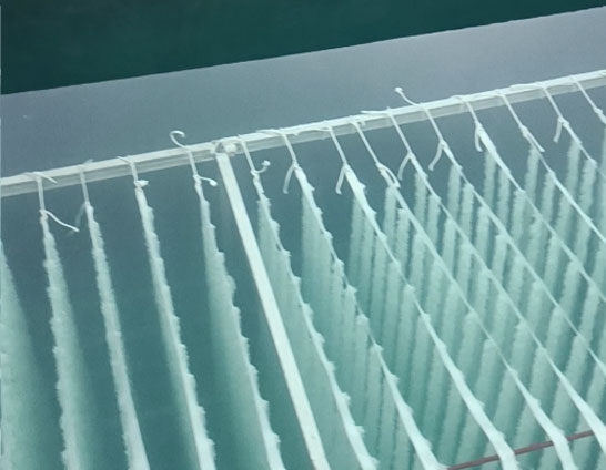 廣西荔浦電鍍廢水項目案例